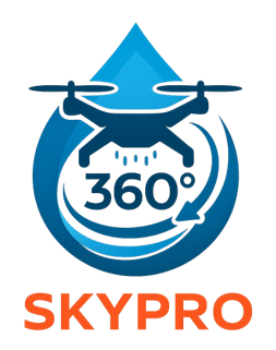 SKYPRO Logo